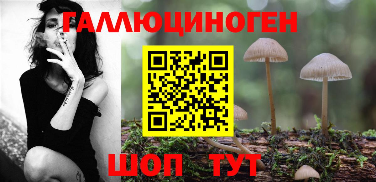 Мытищи  Галлюциногенные грибы ЛСД  наркотики  Вход с VPN 
